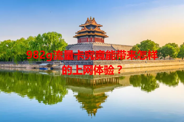 982g流量卡究竟能带来怎样的上网体验？