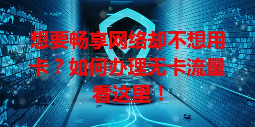 想要畅享网络却不想用卡？如何办理无卡流量看这里！
