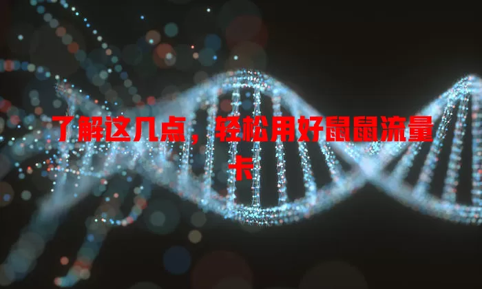 了解这几点，轻松用好鼠鼠流量卡