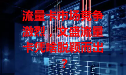 流量卡市场竞争激烈，文盛流量卡凭啥脱颖而出？