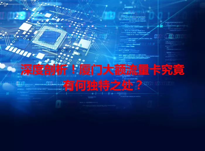 深度剖析！厦门大额流量卡究竟有何独特之处？