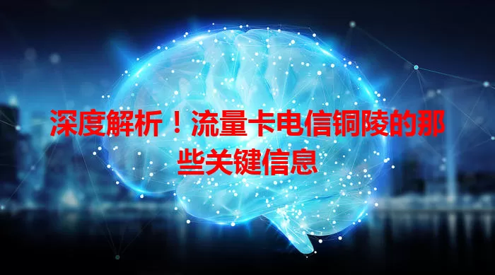 深度解析!流量卡电信铜陵的那些关键信息