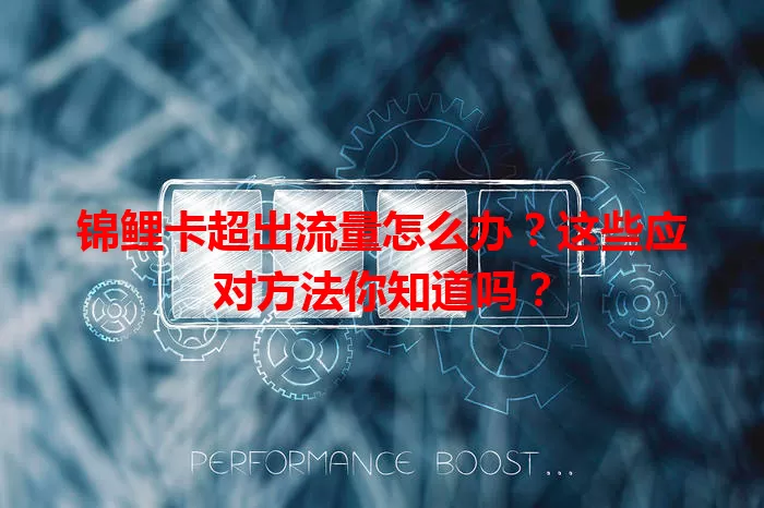 锦鲤卡超出流量怎么办？这些应对方法你知道吗？