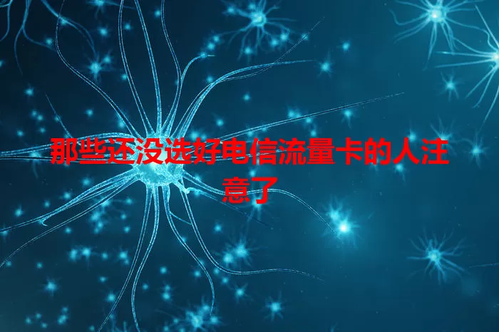 那些还没选好电信流量卡的人注意了