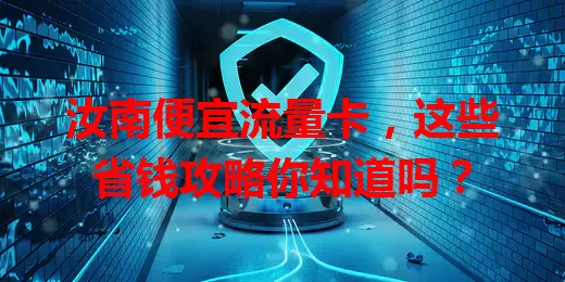 汝南便宜流量卡，这些省钱攻略你知道吗？