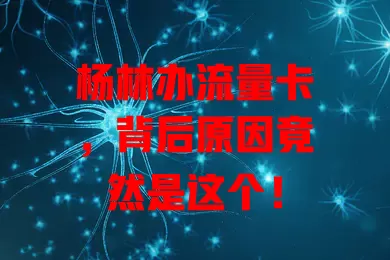 杨林办流量卡，背后原因竟然是这个！