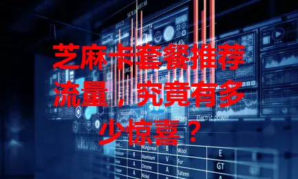 芝麻卡套餐推荐流量，究竟有多少惊喜？