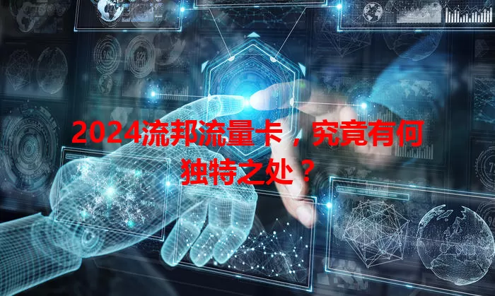 2024流邦流量卡，究竟有何独特之处？