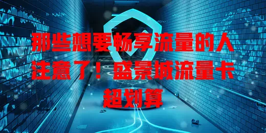 那些想要畅享流量的人注意了！盛景城流量卡超划算