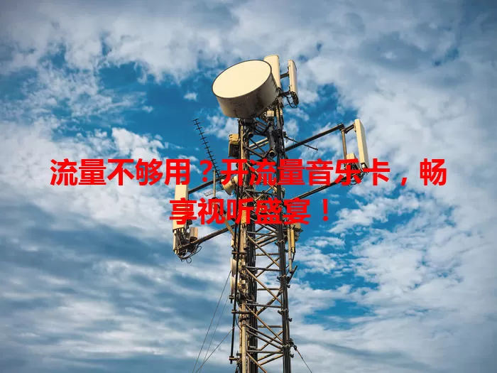 流量不够用？开流量音乐卡，畅享视听盛宴！
