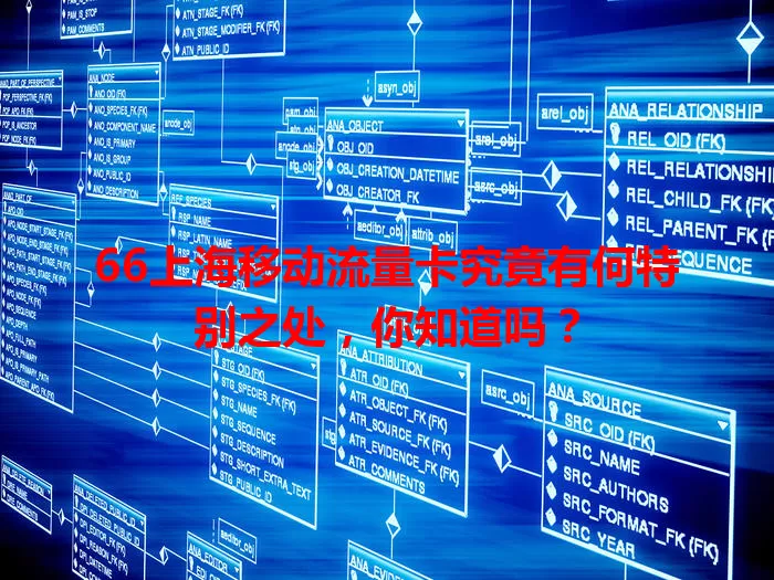 66上海移动流量卡究竟有何特别之处，你知道吗？