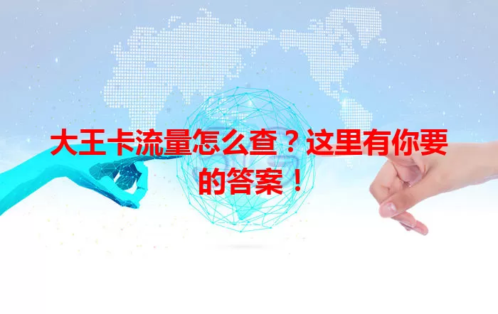 大王卡流量怎么查？这里有你要的答案！