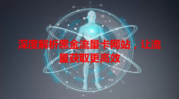 深度解析黑金流量卡网站，让流量获取更高效