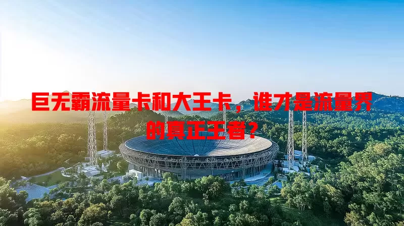 巨无霸流量卡和大王卡，谁才是流量界的真正王者？