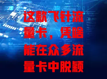 这款飞针流量卡，凭啥能在众多流量卡中脱颖而出？