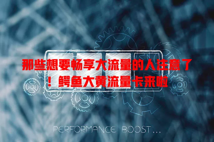 那些想要畅享大流量的人注意了！鳄鱼大黄流量卡来啦