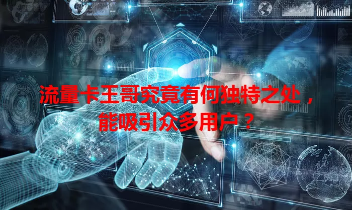 流量卡王哥究竟有何独特之处，能吸引众多用户？