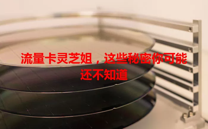 流量卡灵芝姐，这些秘密你可能还不知道