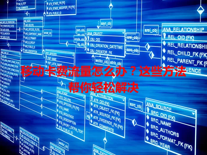 移动卡费流量怎么办？这些方法帮你轻松解决