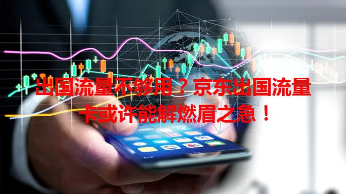 出国流量不够用？京东出国流量卡或许能解燃眉之急！