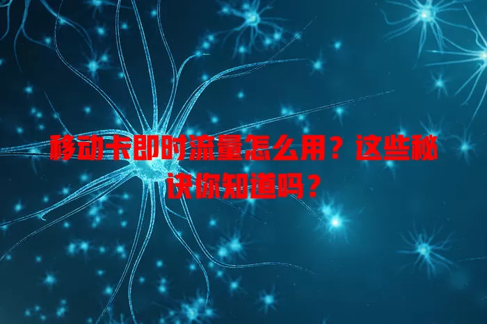 移动卡即时流量怎么用？这些秘诀你知道吗？