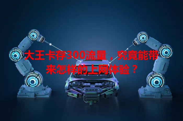 大王卡存300流量，究竟能带来怎样的上网体验？