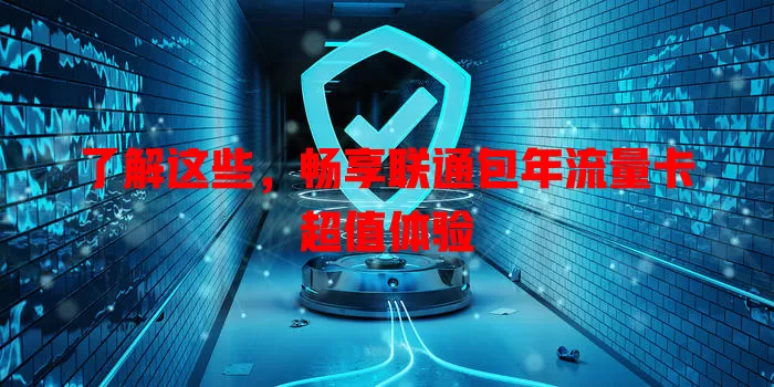 了解这些，畅享联通包年流量卡超值体验