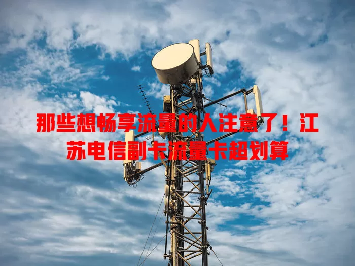 那些想畅享流量的人注意了！江苏电信副卡流量卡超划算