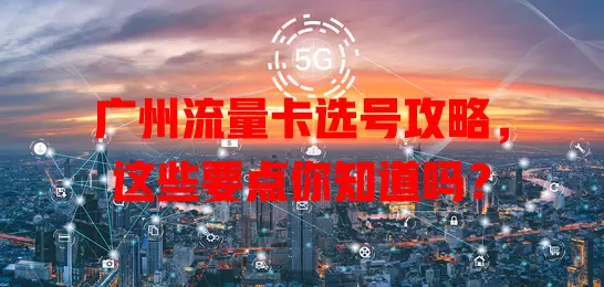 广州流量卡选号攻略，这些要点你知道吗？