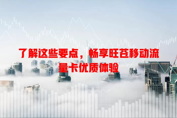 了解这些要点，畅享旺苍移动流量卡优质体验