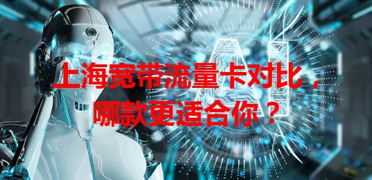 上海宽带流量卡对比，哪款更适合你？