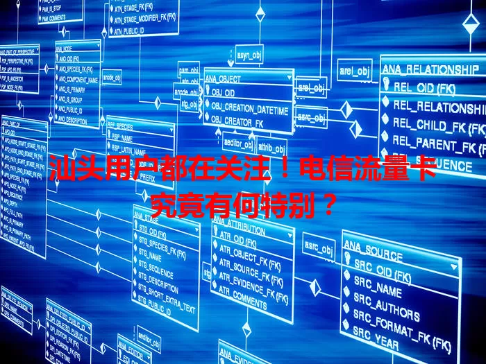 汕头用户都在关注！电信流量卡究竟有何特别？