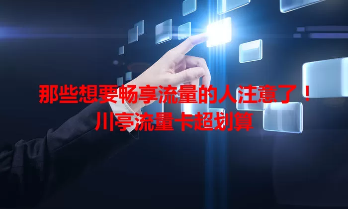 那些想要畅享流量的人注意了！川亭流量卡超划算