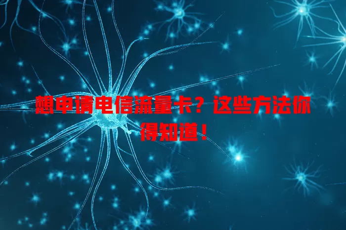 想申请电信流量卡？这些方法你得知道！