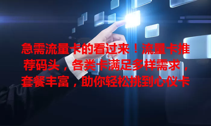 急需流量卡的看过来！流量卡推荐码头，各类卡满足多样需求，套餐丰富，助你轻松挑到心仪卡
