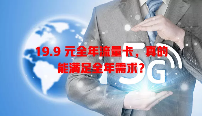 19.9 元全年流量卡，真的能满足全年需求？