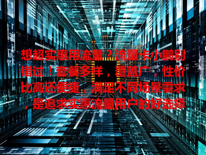 想超实惠用流量？流量卡小鹏别错过！套餐多样，覆盖广，性价比高还便捷，满足不同场景需求，是追求实惠流量用户的好选择