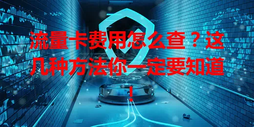 流量卡费用怎么查？这几种方法你一定要知道！