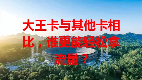 大王卡与其他卡相比，谁更能轻松拿流量？