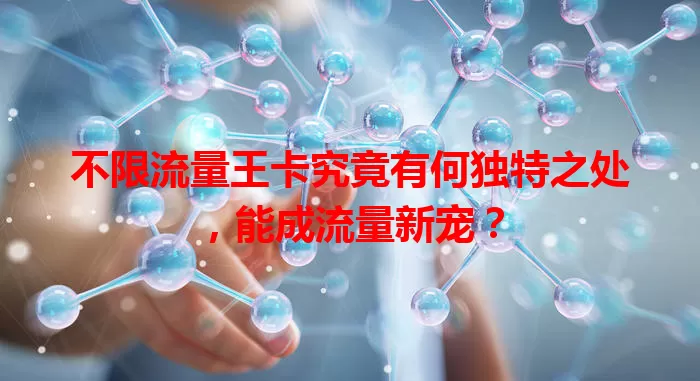 不限流量王卡究竟有何独特之处，能成流量新宠？