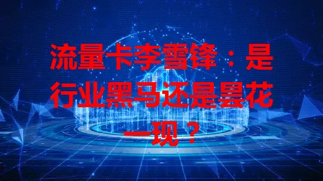 流量卡李雪锋：是行业黑马还是昙花一现？
