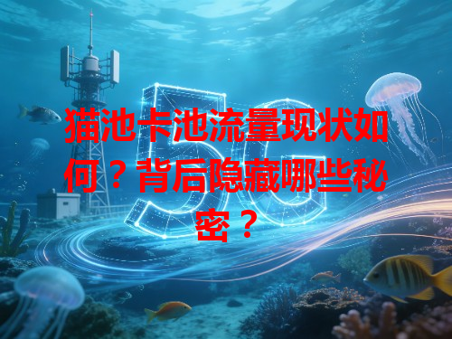 猫池卡池流量现状如何？背后隐藏哪些秘密？