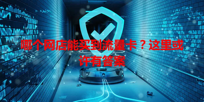 哪个网店能买到流量卡？这里或许有答案