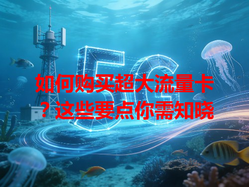 如何购买超大流量卡？这些要点你需知晓