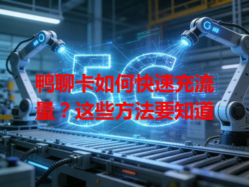 鸭聊卡如何快速充流量？这些方法要知道