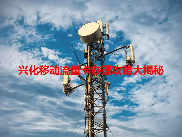 兴化移动流量卡办理攻略大揭秘