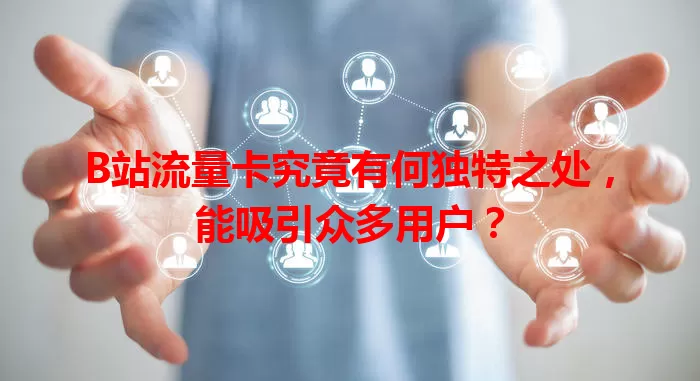 B站流量卡究竟有何独特之处，能吸引众多用户？