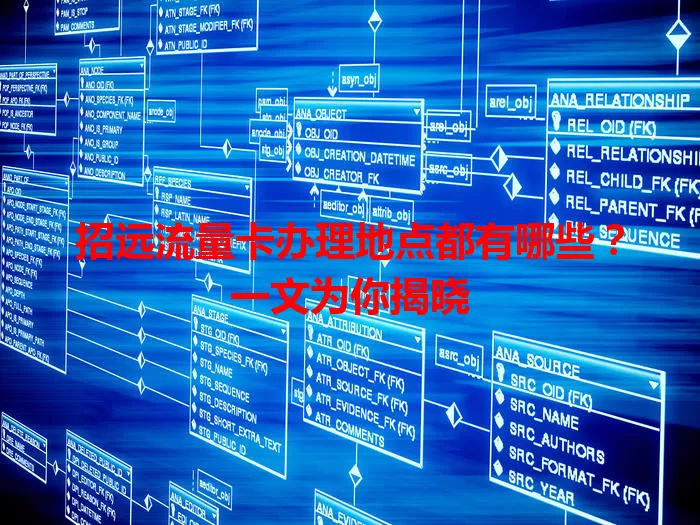 招远流量卡办理地点都有哪些？一文为你揭晓