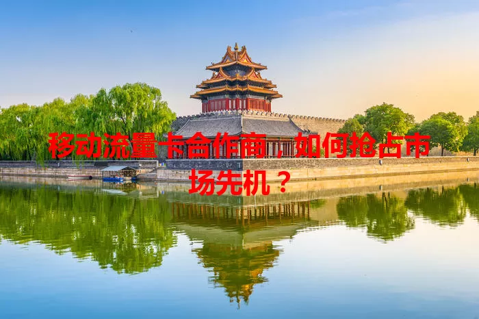 移动流量卡合作商，如何抢占市场先机？