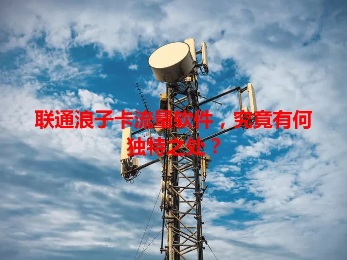 联通浪子卡流量软件，究竟有何独特之处？
